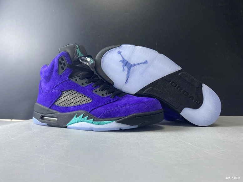  “Alternate 5 Jordan Grape” 136027-500 Air 0204